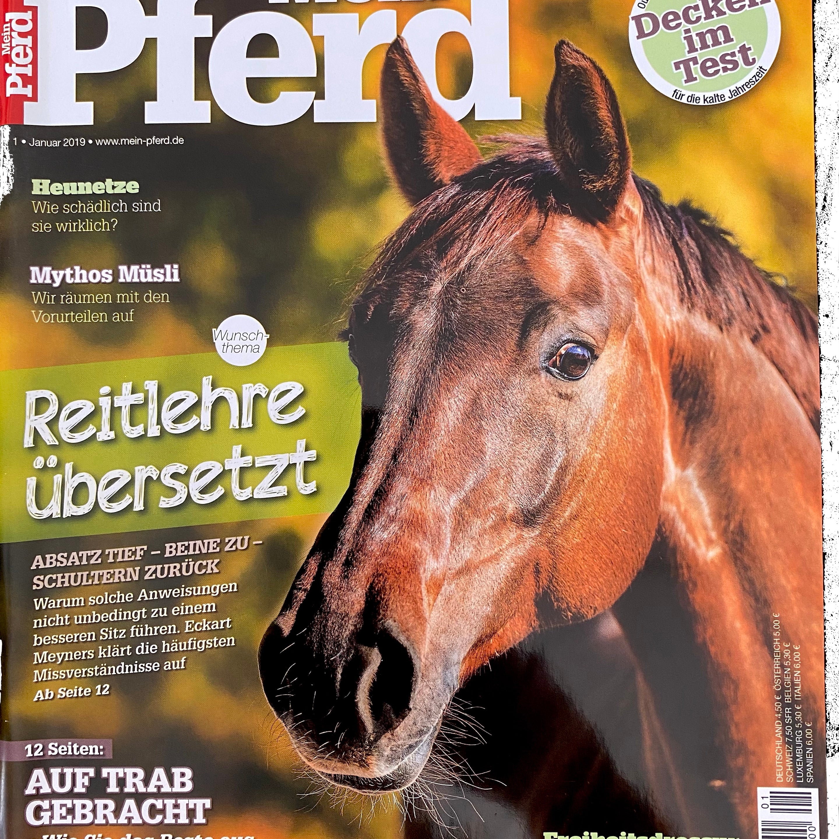 Mein Pferd 1/2019