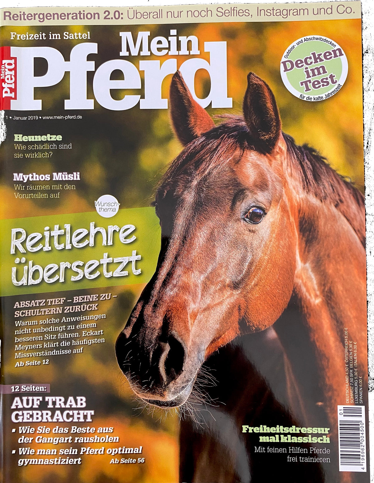 Mein Pferd 1/2019