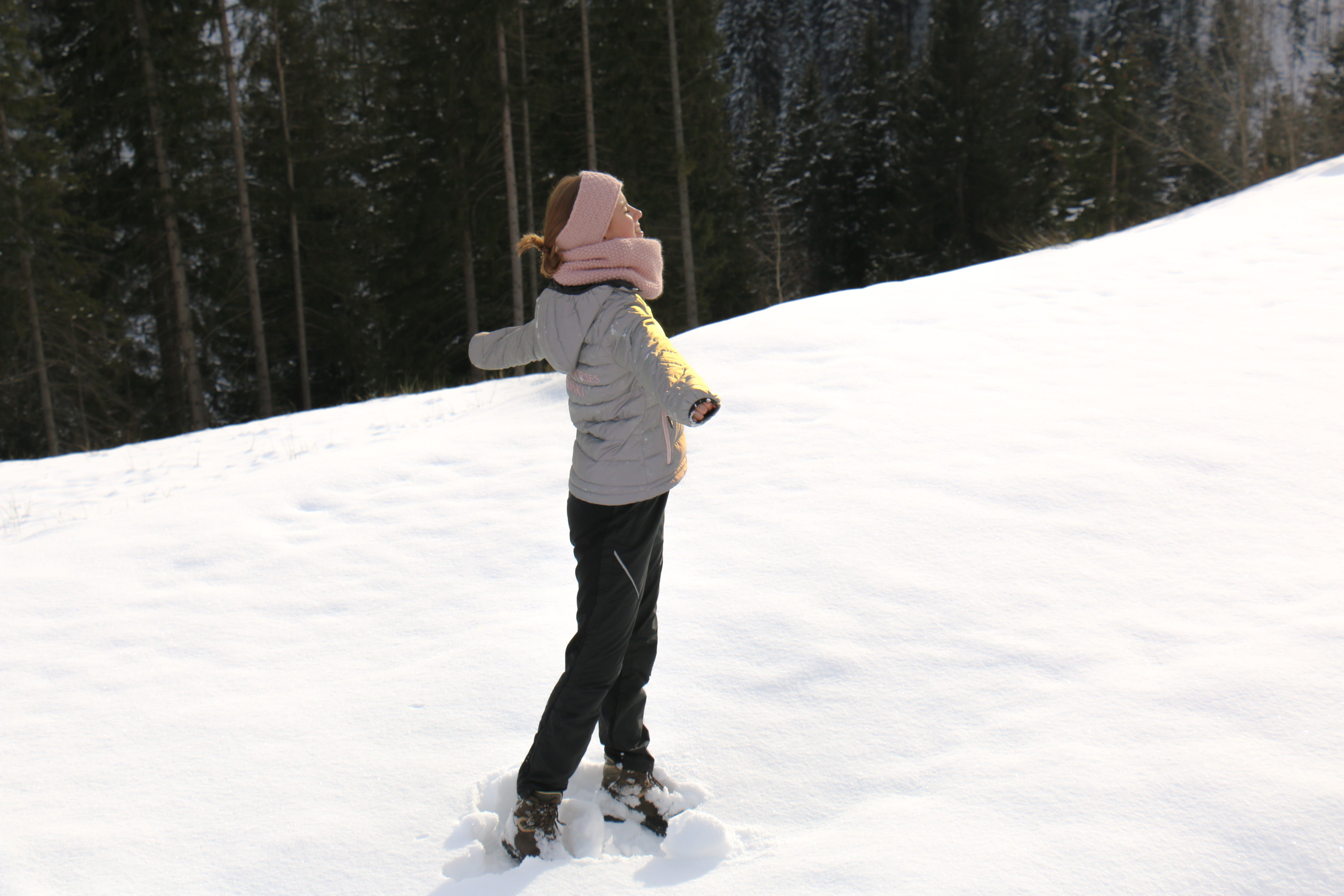 New Year's Resolutions of an Equestrian