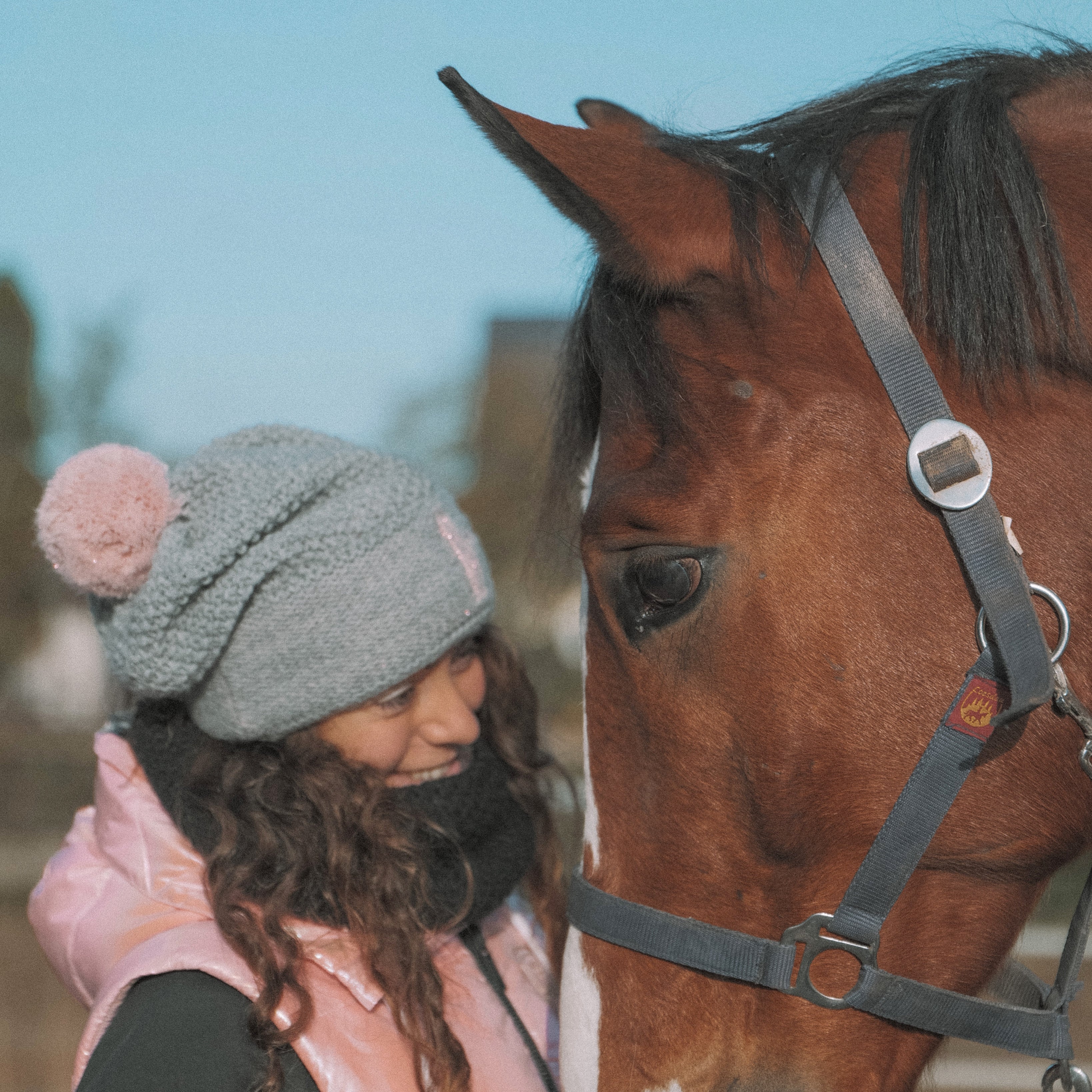 Moving a Horse 2500 km!