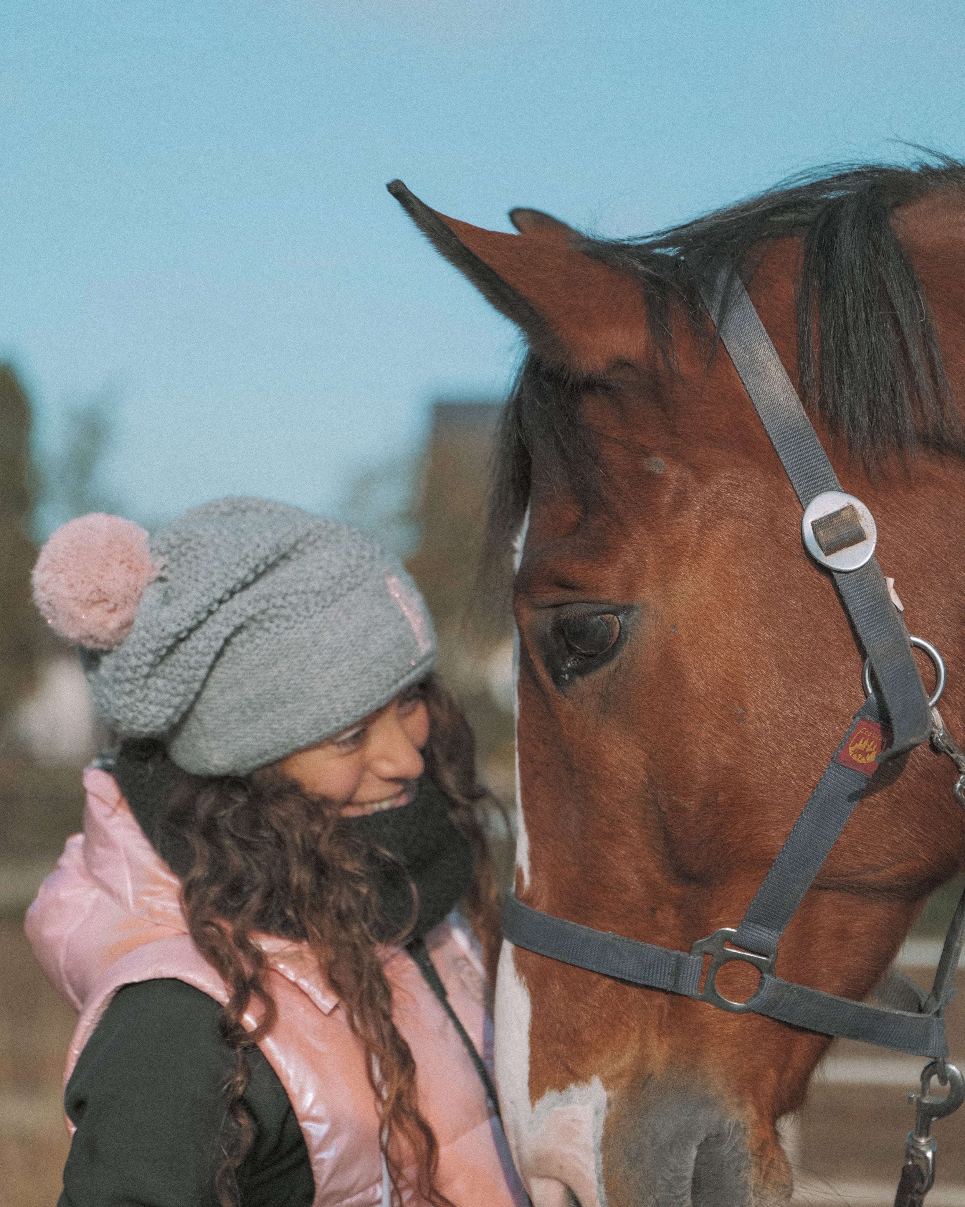 Moving a Horse 2500 km!