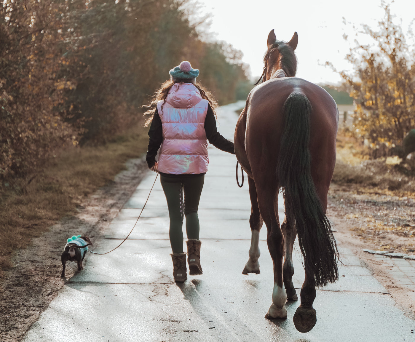 The Confessions of a New Horse Owner