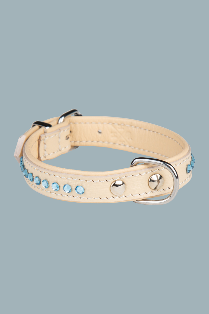 Cooper Ocean Blue Collar