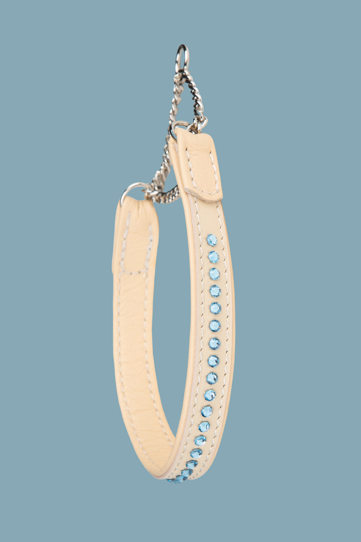 Cooper Ocean Blue Martingale Collar