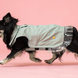 Rain a Little for Dogs Mint