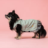 Rain a Little for Dogs Mint