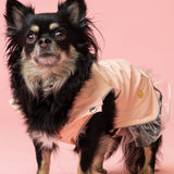 Rain a Little for Dogs Pink