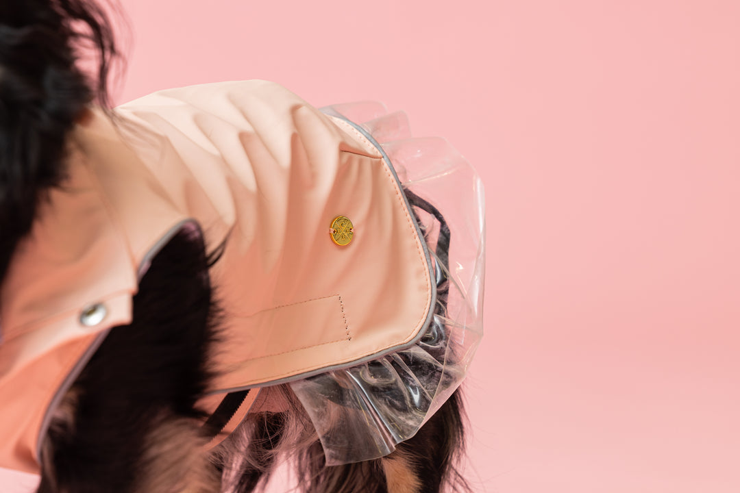 Rain a Little for Dogs