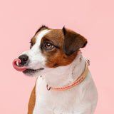 Dolly Blush Pink Collar