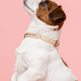 Dolly Blush Pink Collar