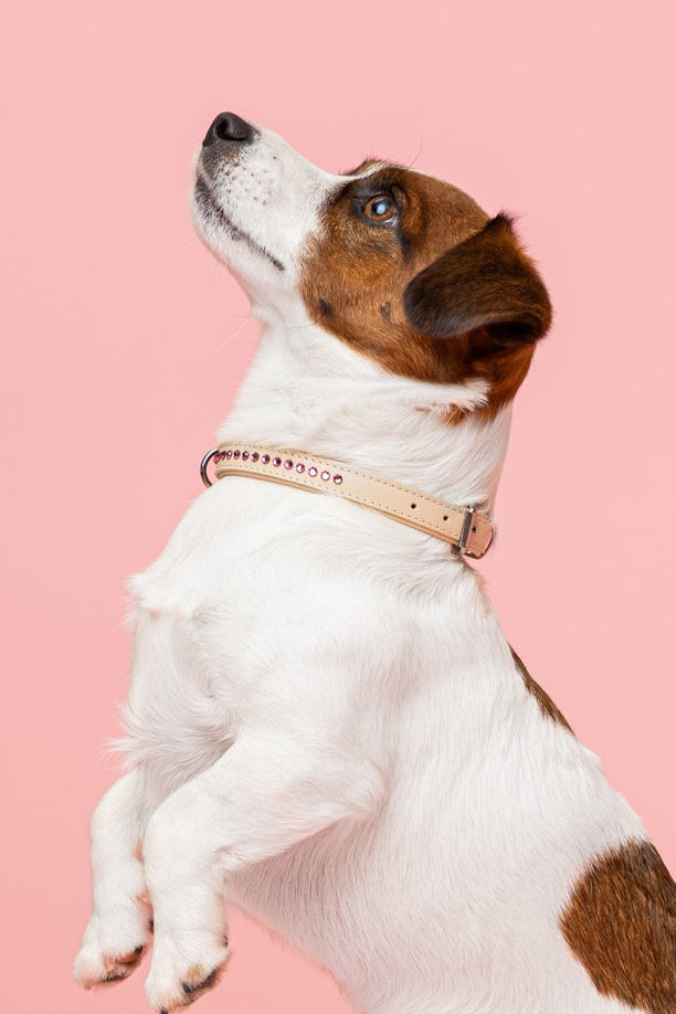 Dolly Blush Pink Kaulapanta