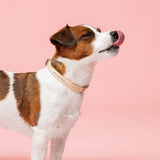 Alba Aurora Borealis Collar