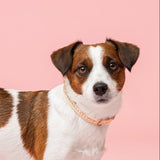 Alba Aurora Borealis Collar