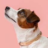 Max Golden Topaz Collar