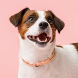 Max Golden Topaz Collar