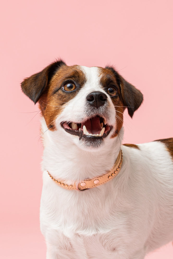 Max Golden Topaz kaulapanta 