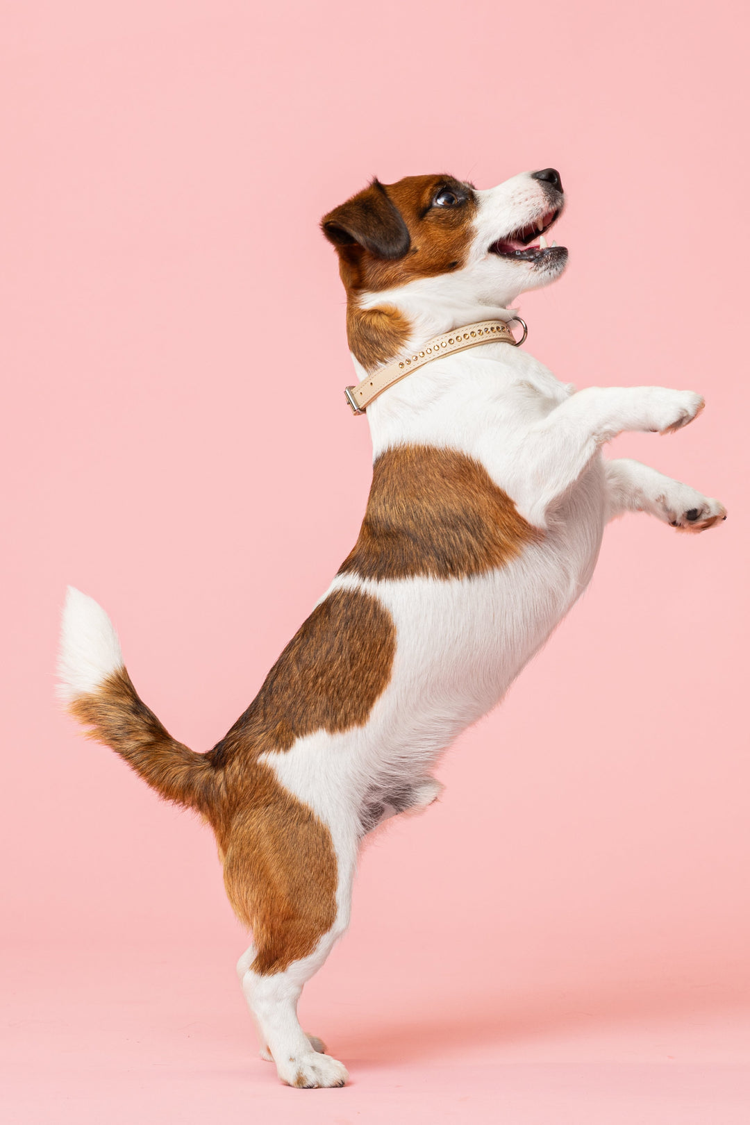 Max Golden Topaz kaulapanta 