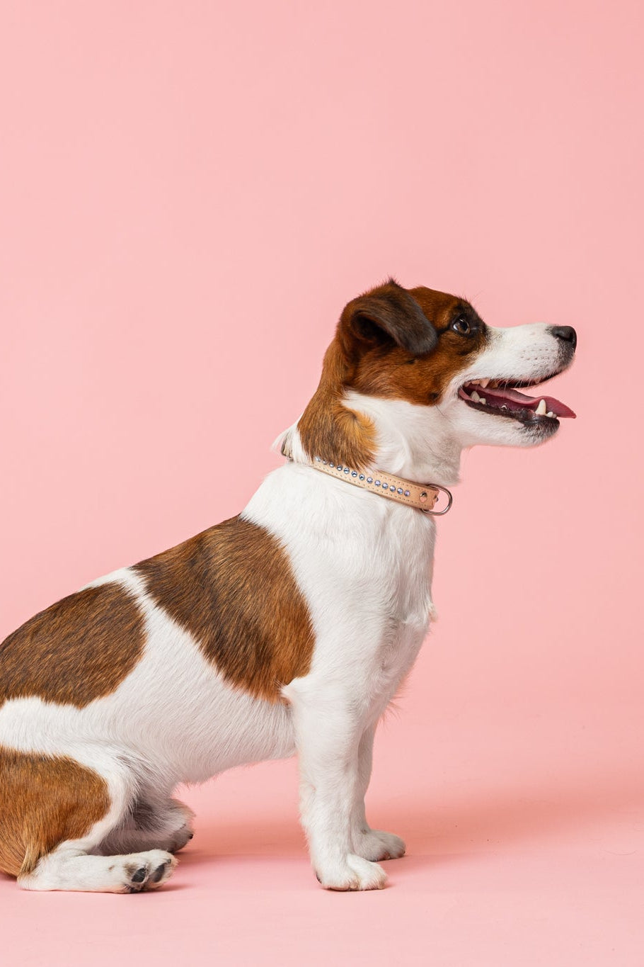 Cooper Ocean Blue Kaulapanta