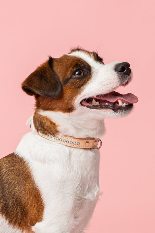 Cooper Ocean Blue Kaulapanta