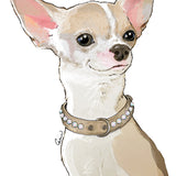 Alba Aurora Borealis Collar