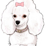 Dolly Blush Pink Collar