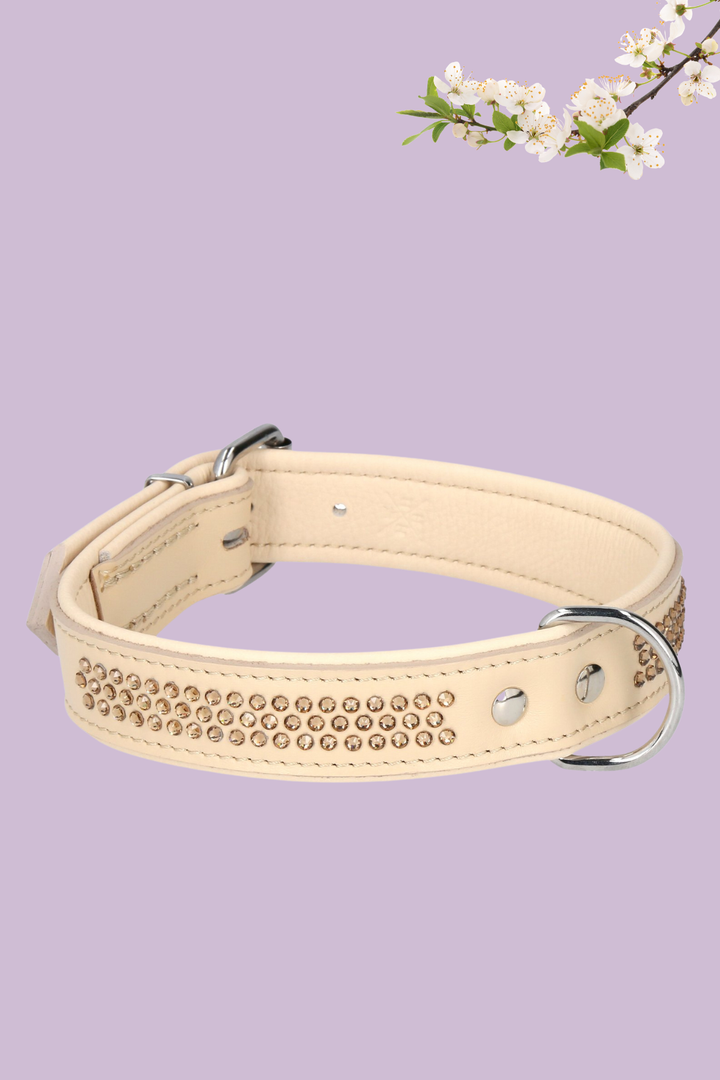 Max Golden Topaz Collar for Bigger Dogs
